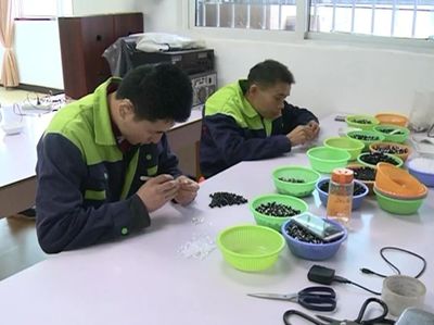 振奮人心 | 東興區(qū)殘疾人就業(yè)創(chuàng)業(yè)正當時！